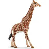 Schleich Wild Life - H: 17 cm - Giraffe okse 14749 - - OneSize - Lekedyr