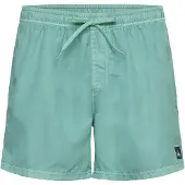 Quiksilver Everyday Surfwash Volley 15 Boardshorts blå
