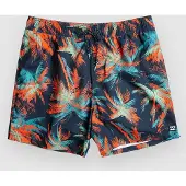 Billabong Island 16 Lb Boardshorts blå