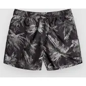 Billabong Island 16 Lb Boardshorts svart