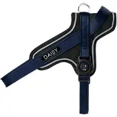 My Family Memopet Id Personalizable Y Hundesele