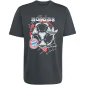 Adidas Fc Bayern Munich Seasonal Graphic Kortarmet T-skjorte