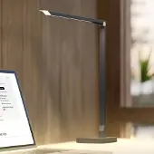 Molto Luce LED-skrivebordslampe FLOYD PRO, svart, 55 cm, CCT, dimbar