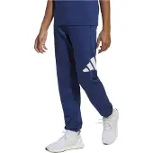 Adidas Essentials Big Logo Joggers