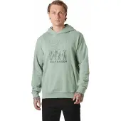 Helly Hansen Core Graphic Hettegenser