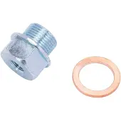 Daytona M20 X 1.5 Mm Oljeplugg