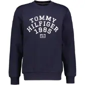 Tommy Hilfiger Arch Collegegenser