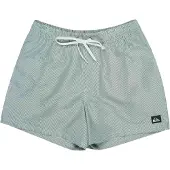 Quiksilver Everyday Deluxe Volley 15 Boardshorts grønn