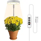 INF Plantebelysning for potteplanter varmhvitt / hvitt