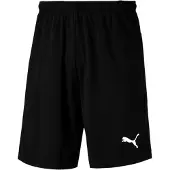 Puma Liga Training Shorts