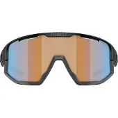 Bliz Vision Nano Optics Nordic Light Solbriller