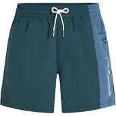 O'Neill Retro 14'' Boardshorts blå
