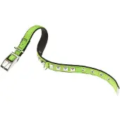 Ferplast Dual 20 Mm 43 Cm Hundehalsbånd