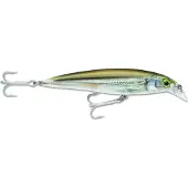 Rapala X-rap Saltwater Minnow 13g 100 Mm