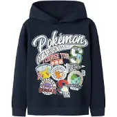 Name it Pokemon Hettegenser