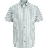 Jack & Jones Chad Oxford Stripe Kortarmet Skjorte