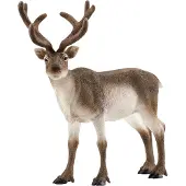 Schleich Dyr - L:13 cm - Rein 14837 - - OneSize - Lekedyr
