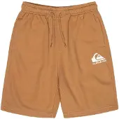 Quiksilver Easy Day Youth Sports Shorts