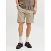 Jack & Jones Rick Dylan Original Shorts