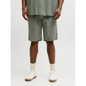 Jack & Jones Jaiden Tyson Plus Size Shorts