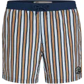 O'Neill O'Riginals Stripe 15" Boardshorts blå
