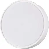 FABAS LUCE Sterkt lysende LED-vegglampe Hatton IP65 30cm