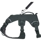 Ruffwear Web Master Hundesele