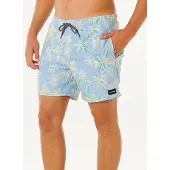 Rip Curl Sessions Volley Boardshorts blå