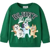 Name it Bluey Sweatshirt