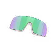 Oakley Mann Sutro Replacement Lenses