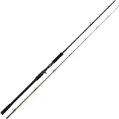 Westin W4 Powershad-t 2nd Baitcastingstang