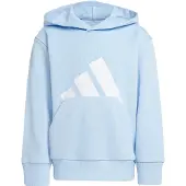 Adidas Essentials Big Logo Hettegenser