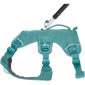 Ruffwear Web Master Hundesele