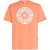 O'Neill Musthave Graphic Kortarmet T-skjorte