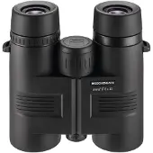 Eschenbach Arena D+ 8x32 Kikkerter