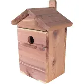 Vitapol fuglehytte av sedertre med 2 utskiftbare fronter i settet 21x15,5x32 cm