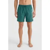 O'Neill Logo 16'' Boardshorts grønn