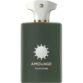Amouage Formål Eau de Parfum Unisex 100 ml