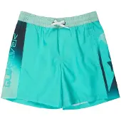 Quiksilver Everyday Holmes Volley 16 Kids Boardshorts blå