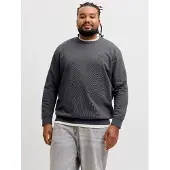 Jack & Jones Archive Graphic Plus Size Collegegenser