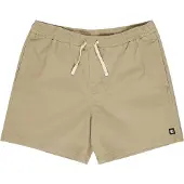 Element Elyws00153 Regular Shorts