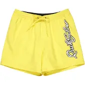 Quiksilver Everyday Malibu Volley 15 Boardshorts gul