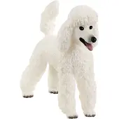 Schleich Dyr - 6,4 cm - Puddel 13917 - - OneSize - Lekedyr