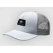 Oakley Patch Ellipse Tracker Caps grå