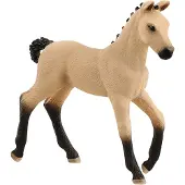 Schleich Dyr - 8 x 8,3 cm - Hannoveransk føll 13929 - - OneSize - Lekedyr