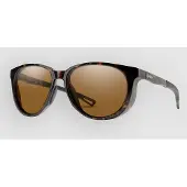 Smith Seeker Tortoise Solbriller brun