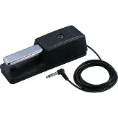 Roland DP-10 Sustainpedal