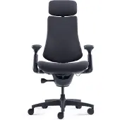 Libernovo Omni Dynamic ergonomisk stol 45 cm (svart)