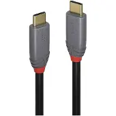 Lindy 5a 1.5 M Usb-c-kabel