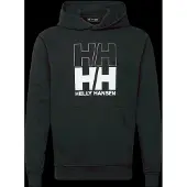 Helly Hansen Core Graphic Hettegenser